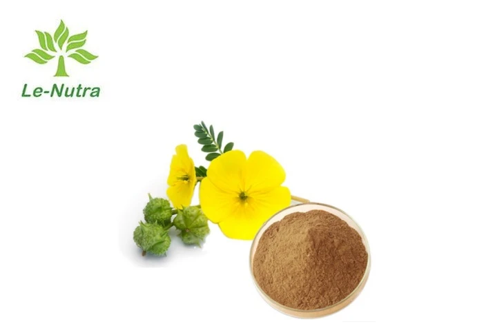 Tribulus Terrestris Extract